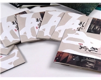 企業(yè)畫(huà)冊設計